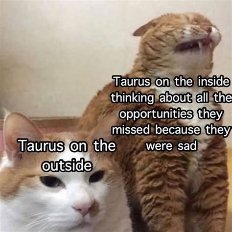 best taurus memes